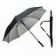 Image result for Silver Umbrella Flash