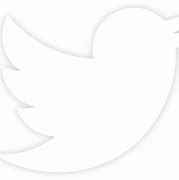 Image result for Twitter White Bird Icon