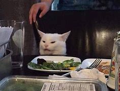 Image result for confused cats meme