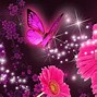 Image result for Pink and Purple Butterflies