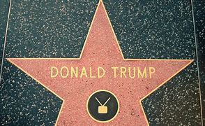 Image result for Donald Trump Star