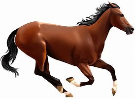 Image result for Horse Roundup Transparent