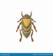 Image result for Flat Insect Cartoon