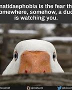 Image result for Goose Watching From the Roof Meme