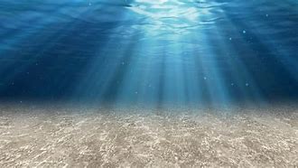 Image result for Under Sea Photos