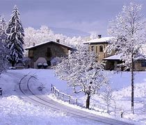 Image result for neve