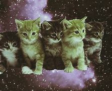 Image result for Cute Pastel Galaxy Kitten
