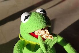 Image result for Kermit Funny Face