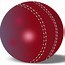 Image result for Cricket PNG Images