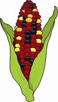 Image result for Fall Corn Clip Art