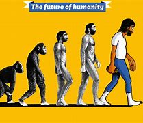 Image result for Evolution into Humans
