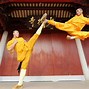 Image result for Deadliest Martial Arts
