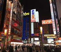 Image result for Akihabara Anine