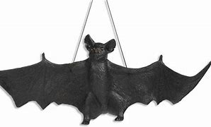 Image result for Plastic Replica Bat