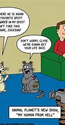 Image result for Funny Carytoons
