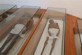 Image result for Mummies of Venzone