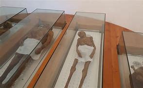 Image result for Mummie Di Venzone