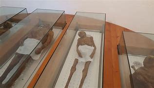 Image result for Venzone Mummia