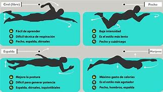 Image result for Los 3 Tipos De Cuerpo