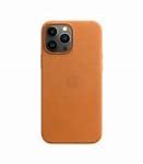 Image result for iPhone 13 Pro Max Case