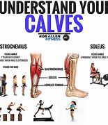 Image result for All Calf Muscles