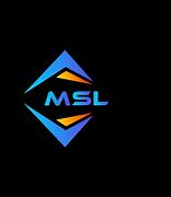 Image result for MSL Logo in Google Colors