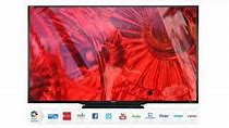 Image result for 10 Best World Biggest TV