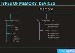 Image result for The Origin of Memory