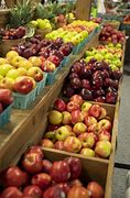 Image result for Pennsylvania Native Apple Variety