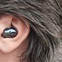 Image result for Samsung Galaxy Earbuds in Ears