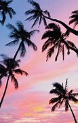 Image result for Pretty Palm Trees