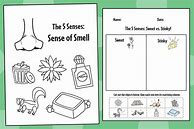 Image result for Sense of Smell Printables