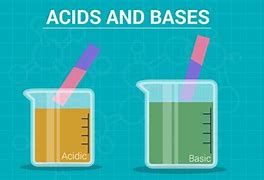Image result for Acids and Bases