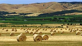 Image result for Australian Agriculture