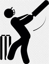 Image result for Cricket Batting