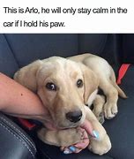 Image result for Funny Pups