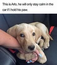 Image result for Happy Monday Puppy Meme