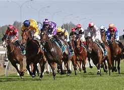 Image result for Thoroughbred Race