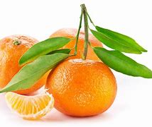 Image result for Photoof Fruit/Orange
