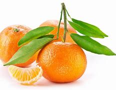 Image result for Orange Fruit Background HD