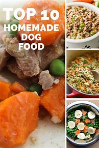 Image result for homemade dogs foods for allergy