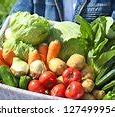 Image result for Pick Vegetables