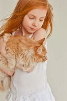 Image result for Adorable Ginger Cat