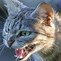 Image result for Angry App.Cat