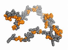 Image result for Protein Unfolding