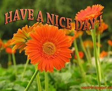 Image result for Acceptable Have a Nice Day