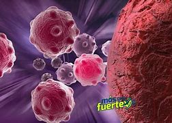 Image result for Inmune Bio Inc