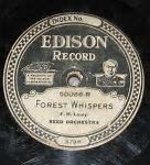 Image result for Edison Diamond Disc Phonograph