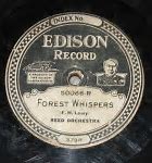 Image result for Edison Records with Holographic Picture of Edson