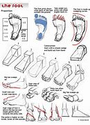 Image result for Sketch Anatomy Footware